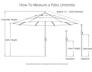 umbrella umbrellas