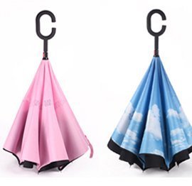 Pink and blue inverted umbrellas standing upright
