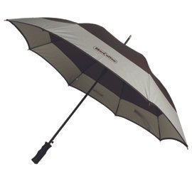 Promotional Umbrella with Logo
